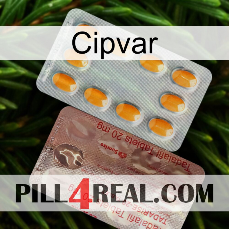 Cipvar new13